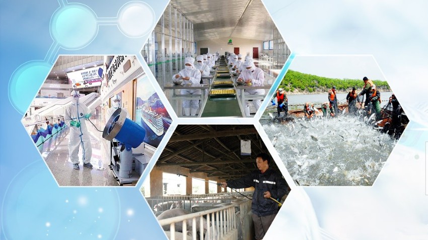 二氧化氯、84、酒精的消毒原理和作用