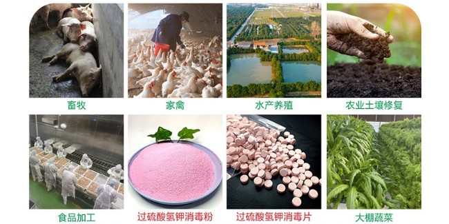 深耕匠心制剂，赋能绿色未来——开封恩科生物，单过硫酸氢钾实力生产厂家