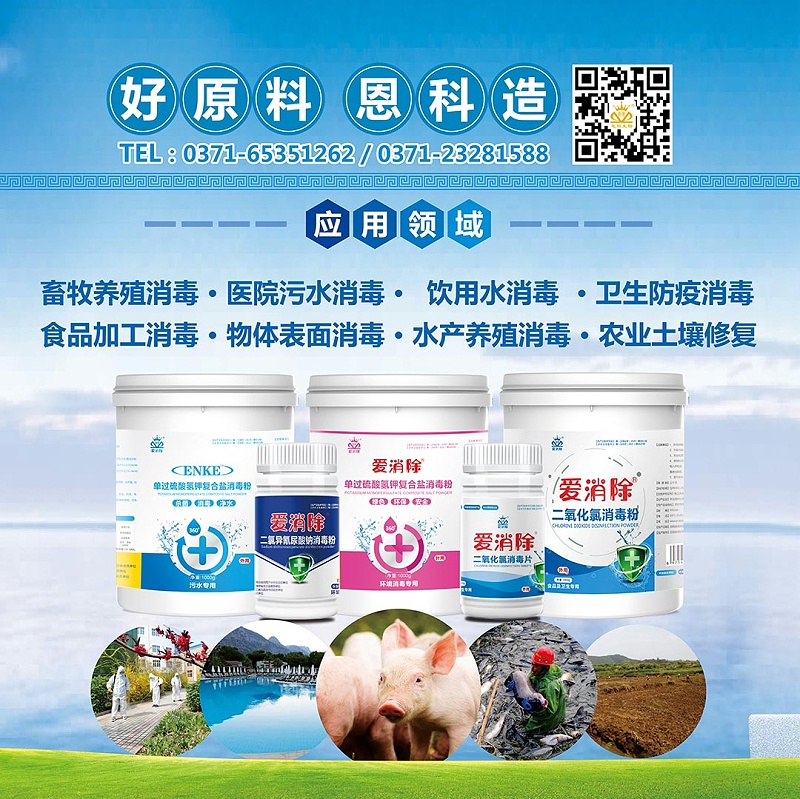公司介绍---
